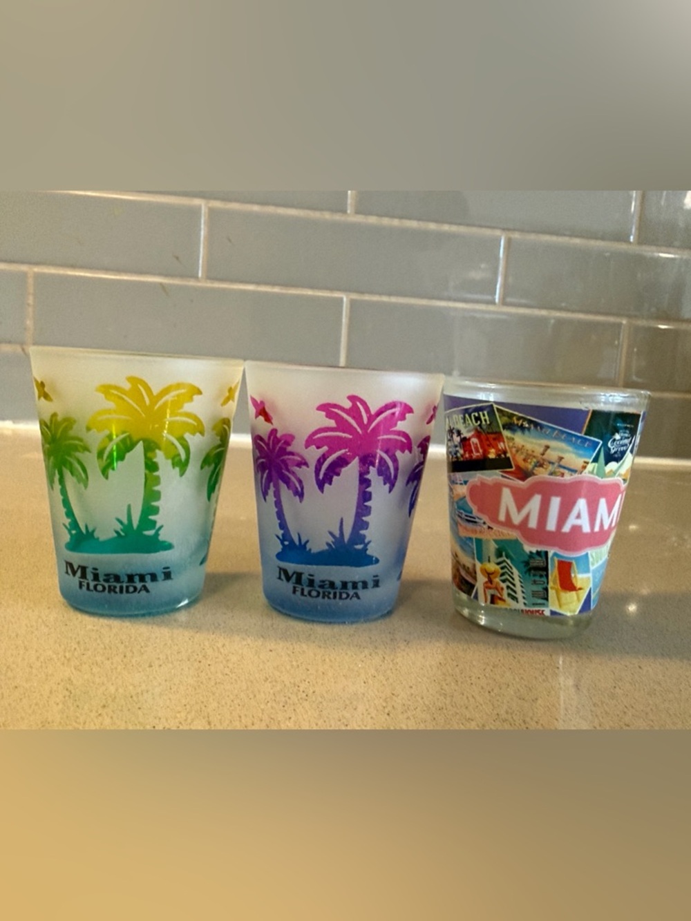 Miami Florida Colorful Palm Shot Glasses (Set of 3)